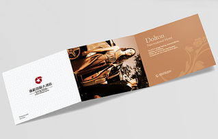 塑造卓越品牌 深圳企業(yè)形象設(shè)計(jì)公司的VI策劃之道